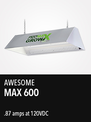 Max 600